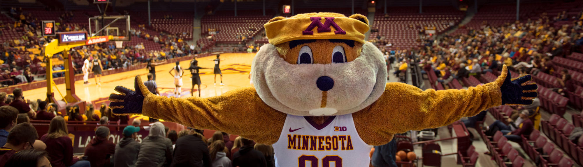 Goldy Gopher at a women's basketball game