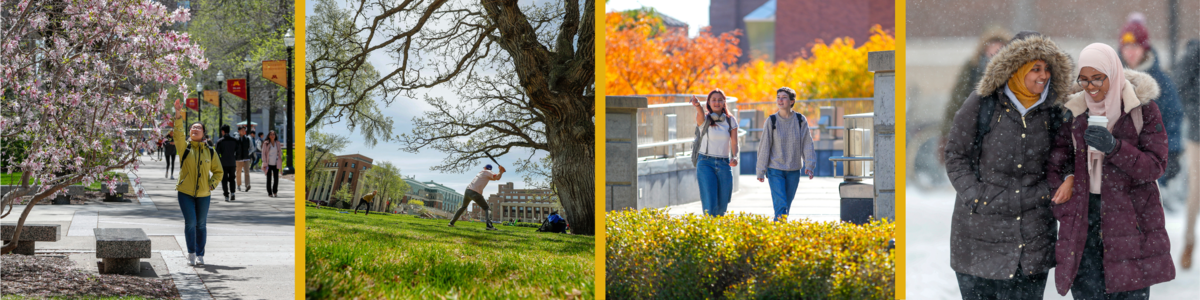 A series of photos of students enjoying campus in spring, summer, fall, and winter