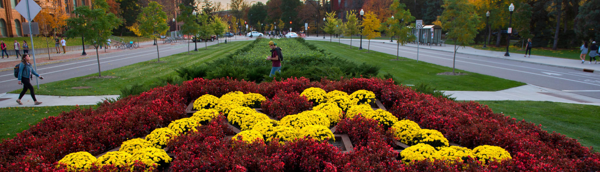 Block M made of flowers on campus