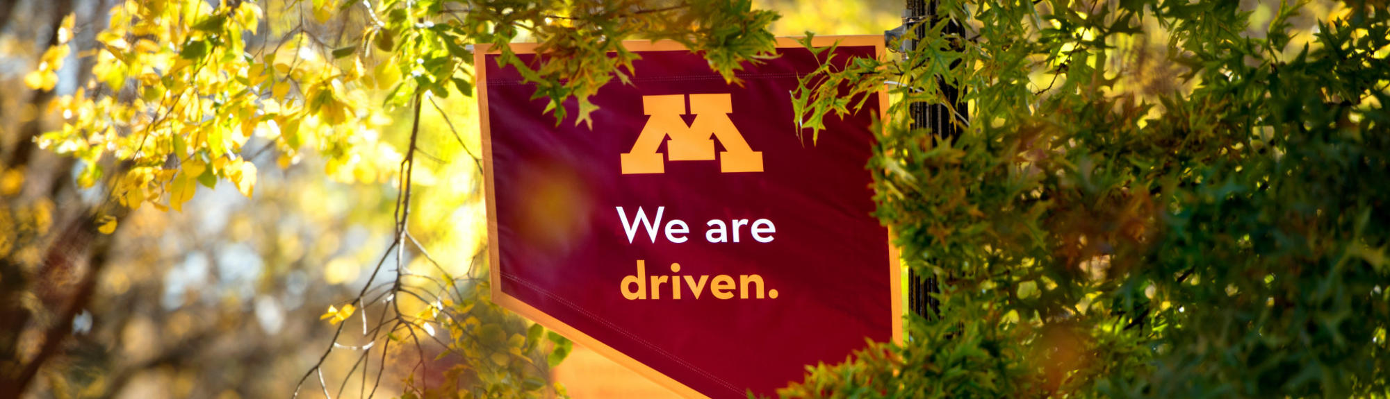 "We are driven" banner against leaves