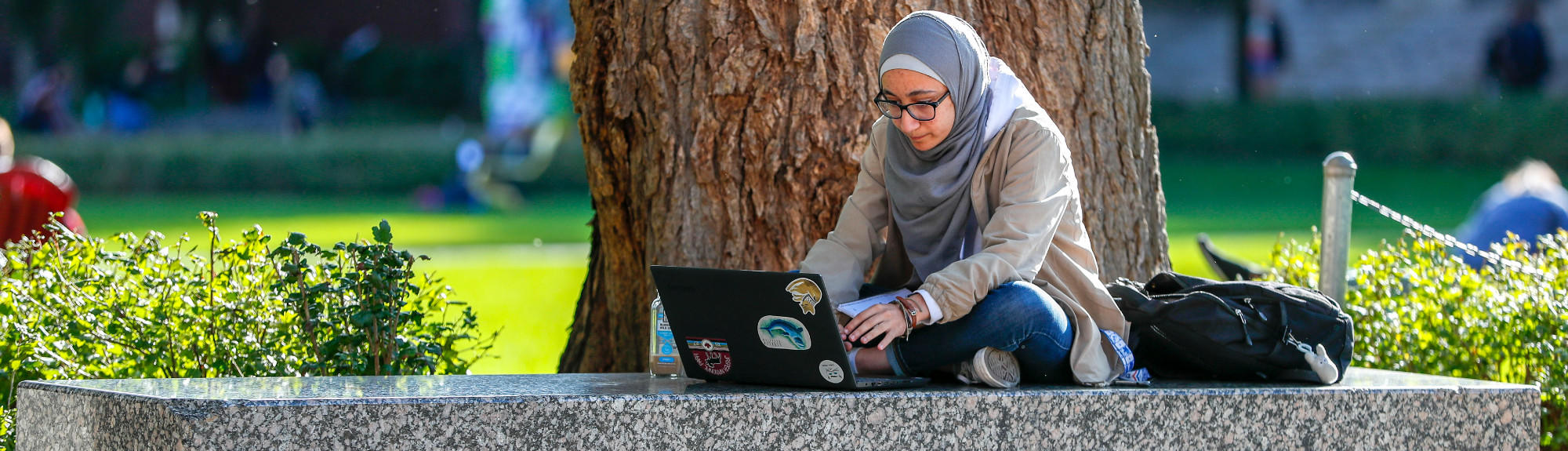 A students sits on a bench shaded by a tree and works on her laptop